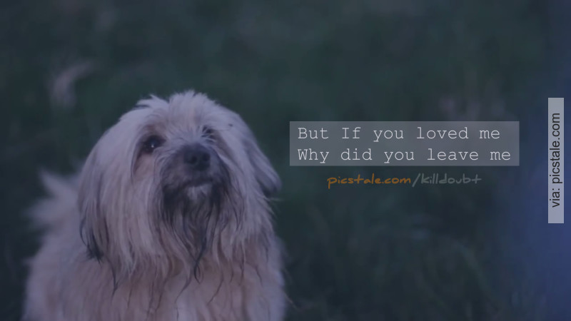 if you love me why did you leave me if you love me why did you leave me